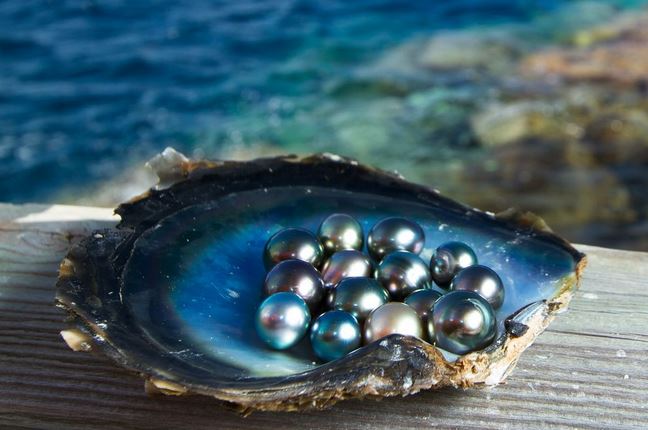 Origins of Tahitian black pearls
