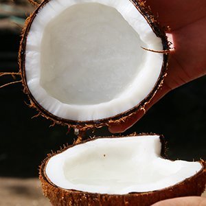 coconut4