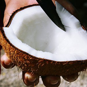 coconut5