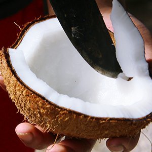 coconut6