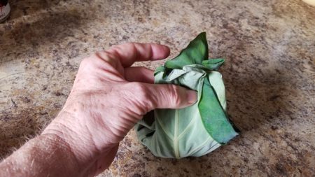 fold taro leaves together