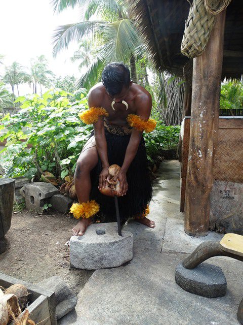 Picture of coconut preparation at Fiji Village at the Polynesian Cultural Center