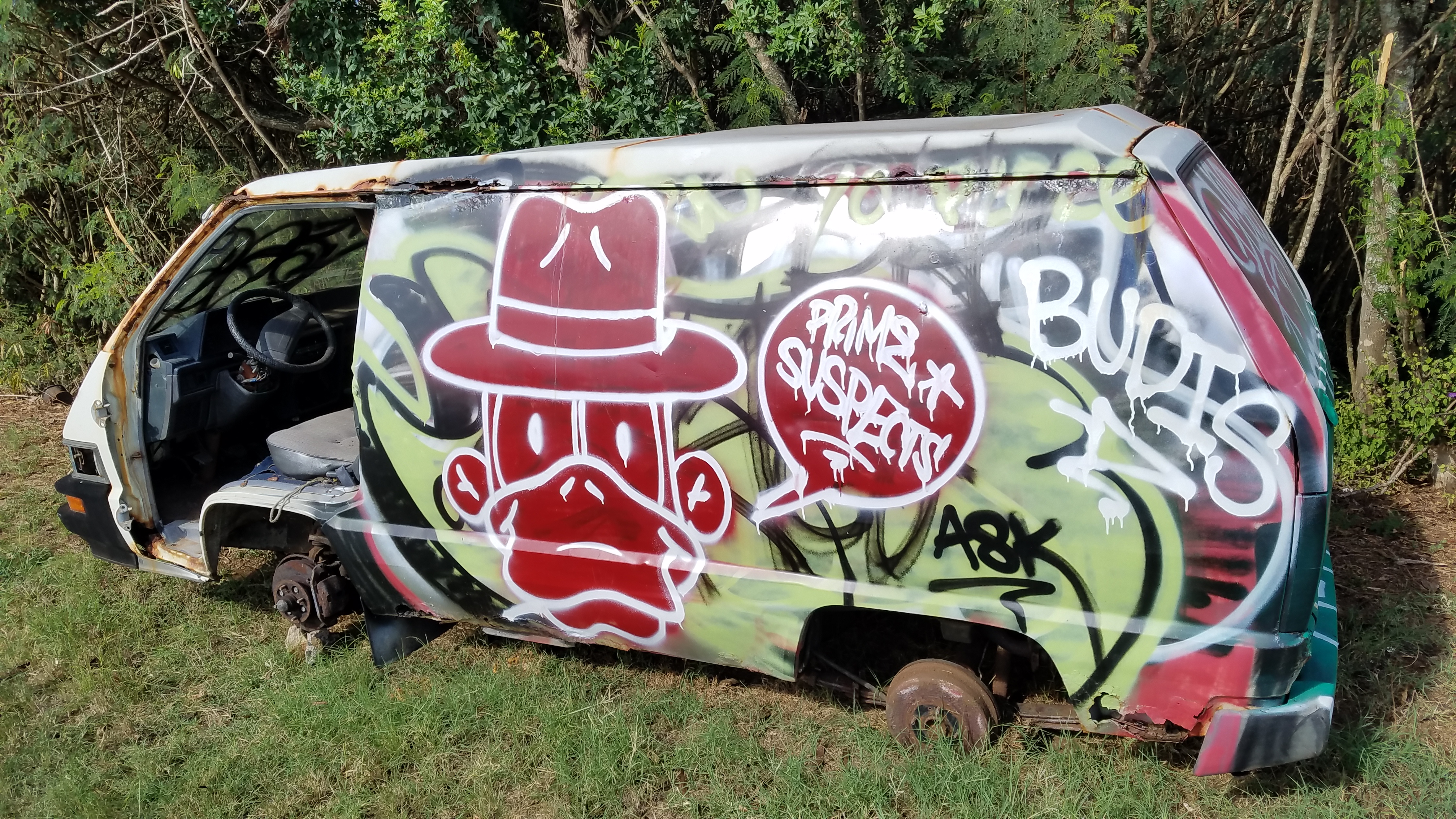 photo of stripped and painted car along Oahu highway