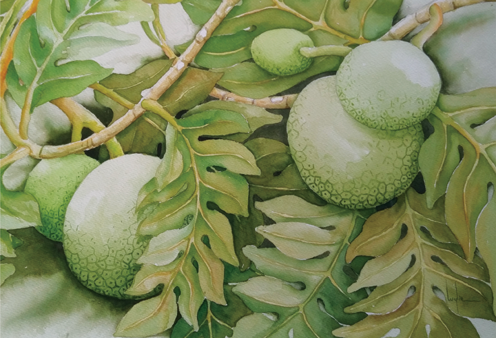 Close up of watercolor "Five Ulu and Leaves" by local artist Wylie Swapp