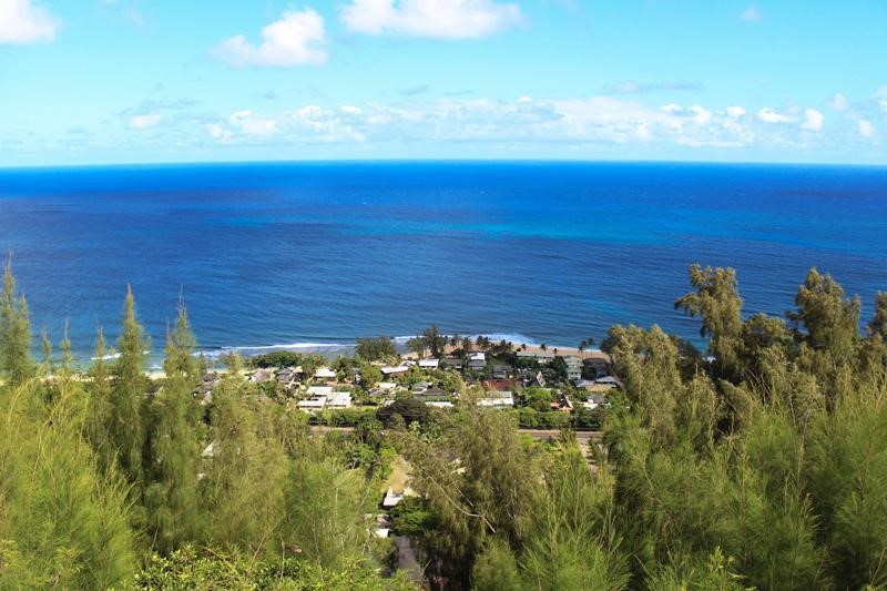 Photo of the North Shore coastline as viewed from the Ehukai Pillbox lookout
