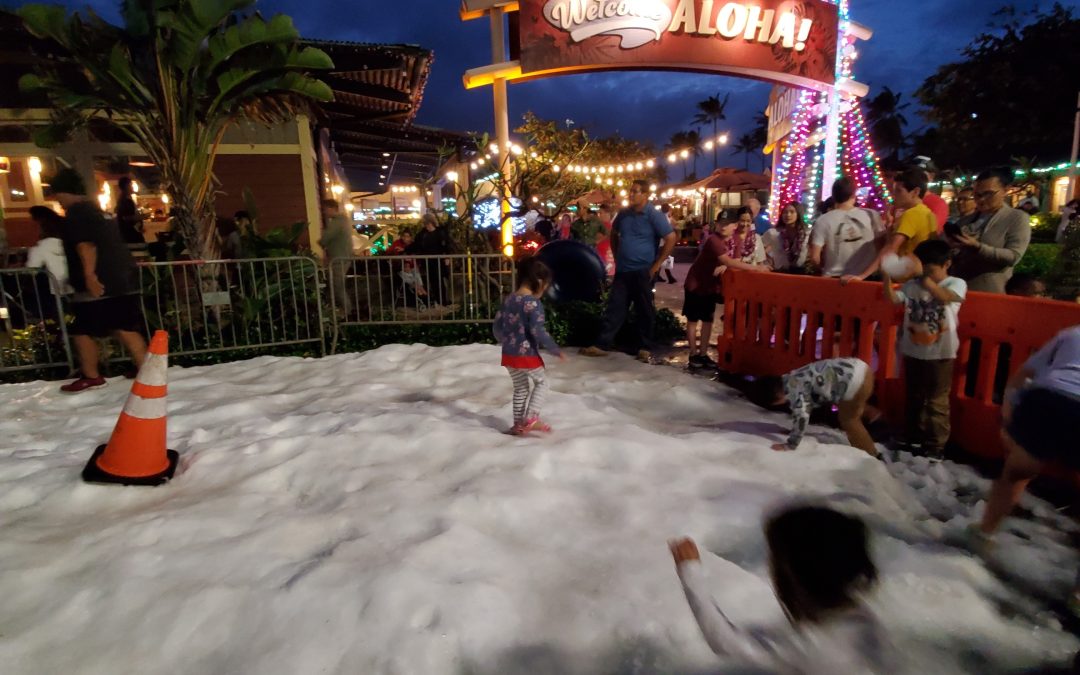 snow day - polynesia.com | blog