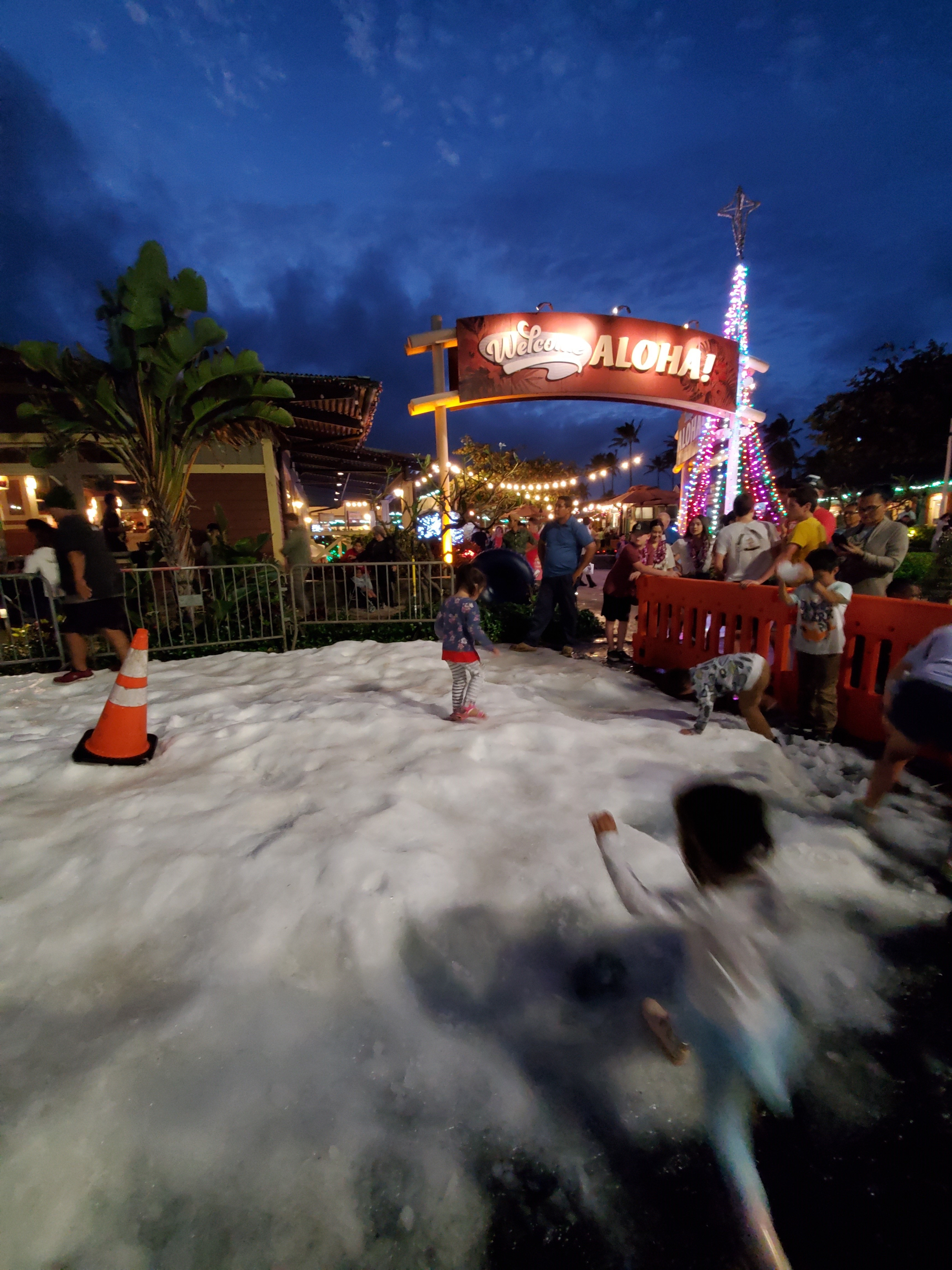 snow day - polynesia.com | blog