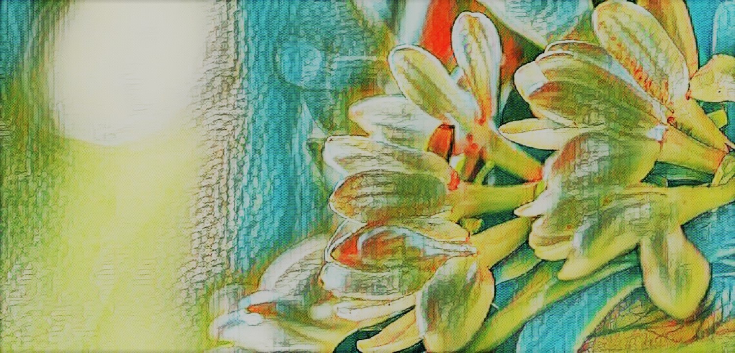 Artistic rendition of the tiare flower from Tahiti
