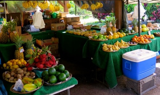 image of many tropical fruits piled high in a roadside market 