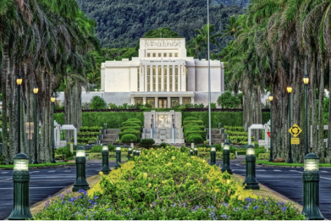 pictured of Laie Hawaii Temple surrounded by a lush in green & yellow plants and coconut palms