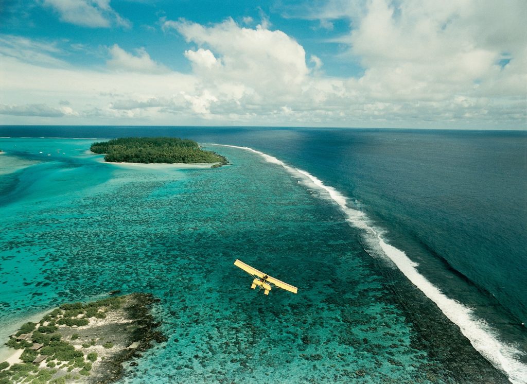 coral reef - polynesia.com | blog