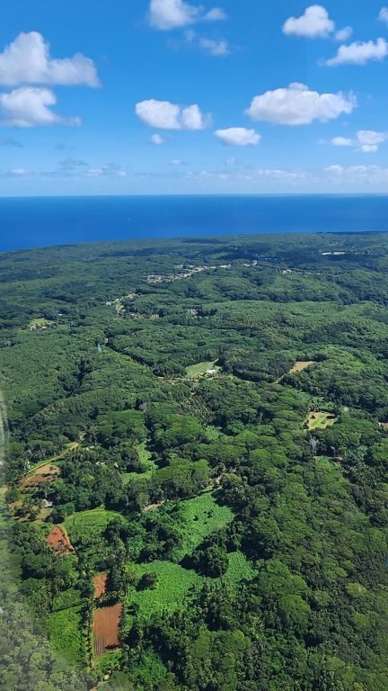Cook Islands Atiu Green Forest