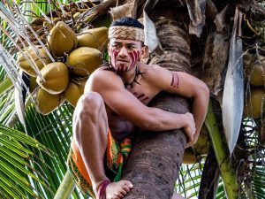 Samoan villager climbing a coconut tree