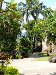 Palm trees and other lush vegetation line the walkways at the Center.