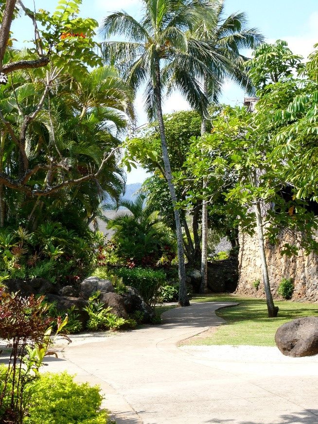 Palm trees and other lush vegetation line the walkways at the Center.