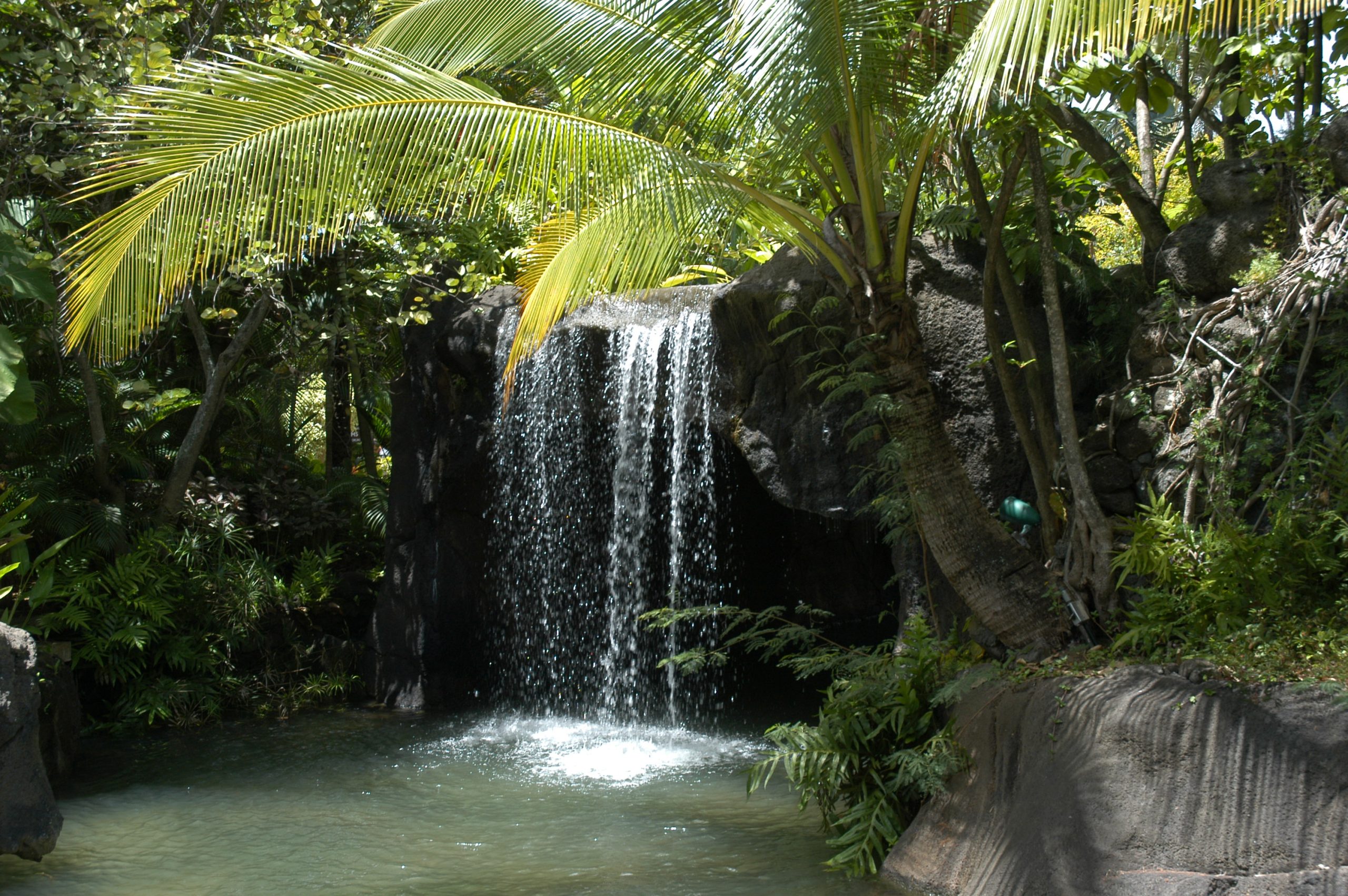 Palm fronds frame a waterfall and pond.