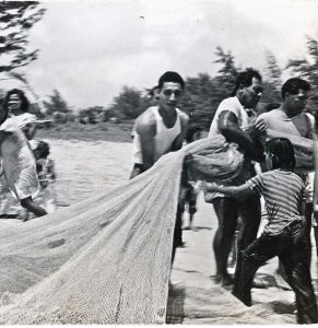 Black and white photo of Hawaiian men pull a fishing net back to shore. 1940s.