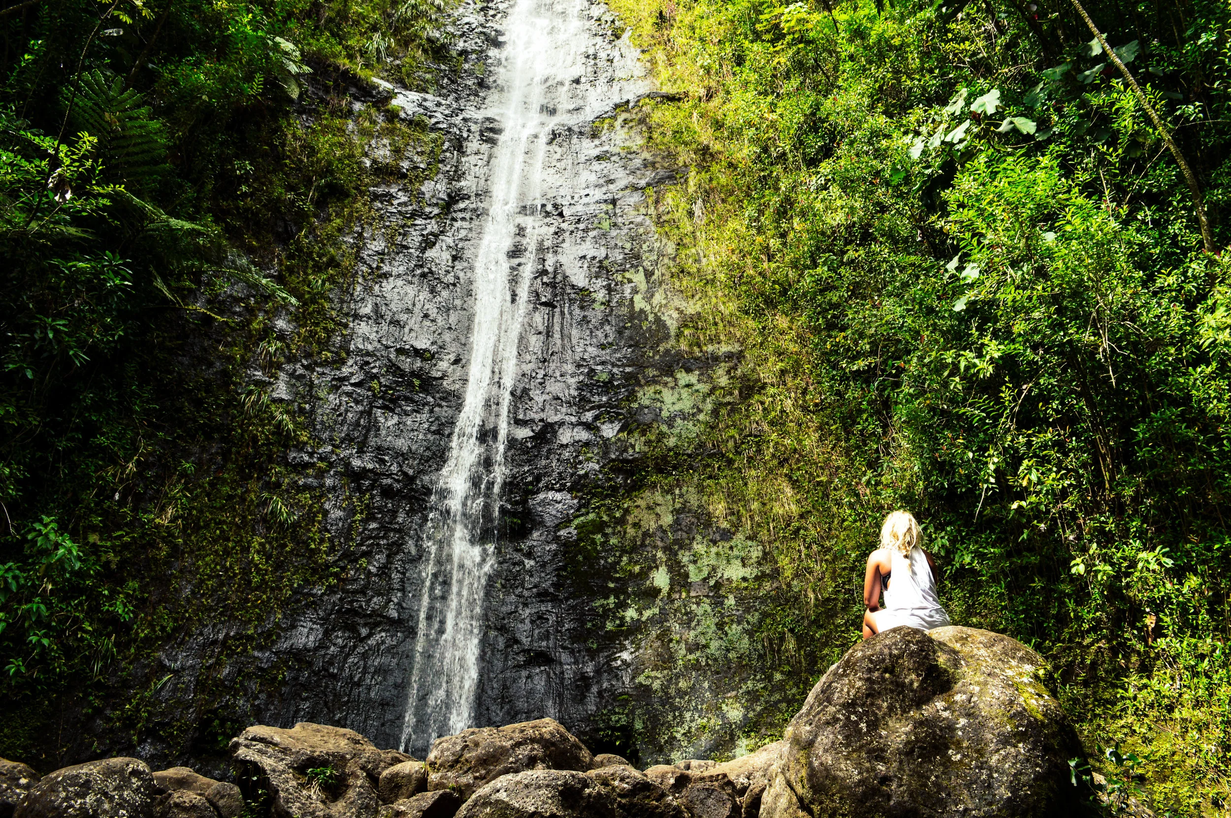 A peaceful moment at Mānoa Falls, an Instagrammable spot in Oʻahu.