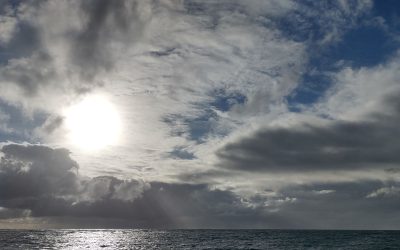 Wayfinding: A Romantic Lifestyle? The Reality of a Wayfinder’s Life